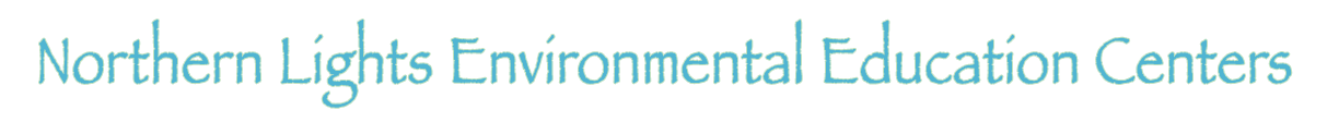 Northern Lights Logo