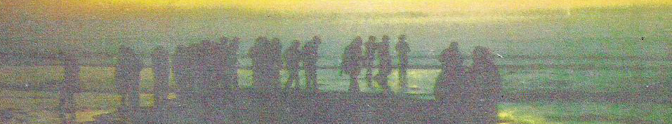Northern Lights Environmental Education