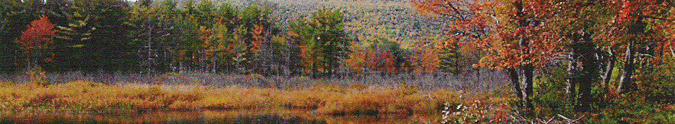 Northern Lights Environmental Education