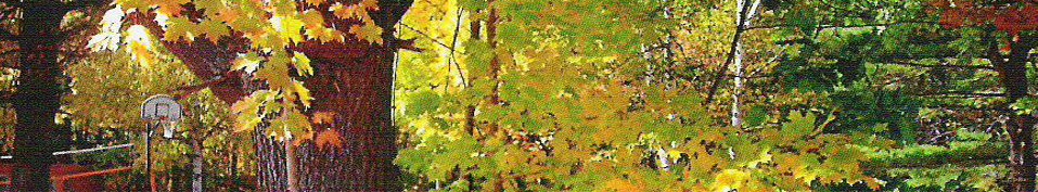 Northern Lights Environmental Education