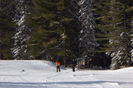 X-C Skiers